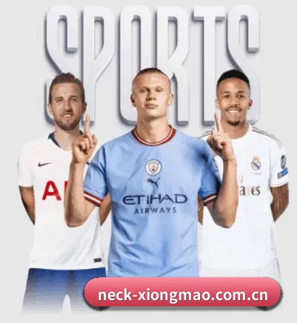 五个功能入口,赛程查询路径更短 - 多运动项目内容板块
